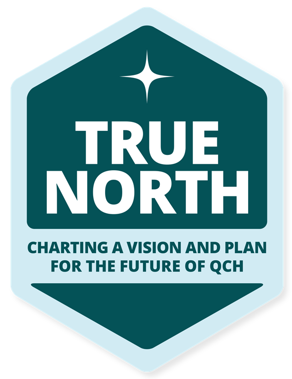 True North logo